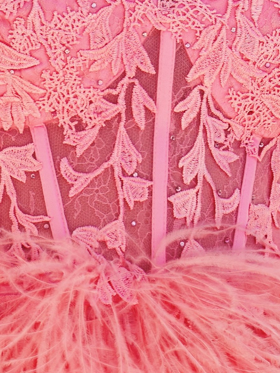 Amina |Sheath Sweetheart Lace Feather Skirt Homecoming Dress